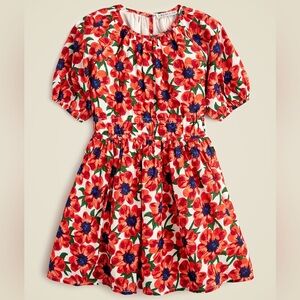 J Crew Crewcuts Girls' puff-sleeve dress in cotton voile floral 14